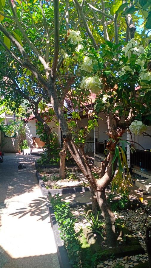 Gili Guest House กิลิไอร์ ภายนอก รูปภาพ